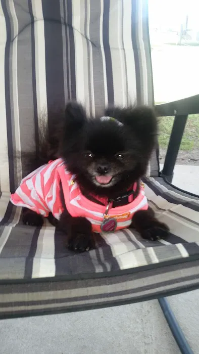 Cajun Campground Picture 3