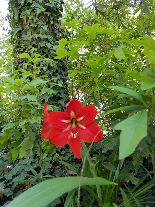 Cajun Campground Picture 10