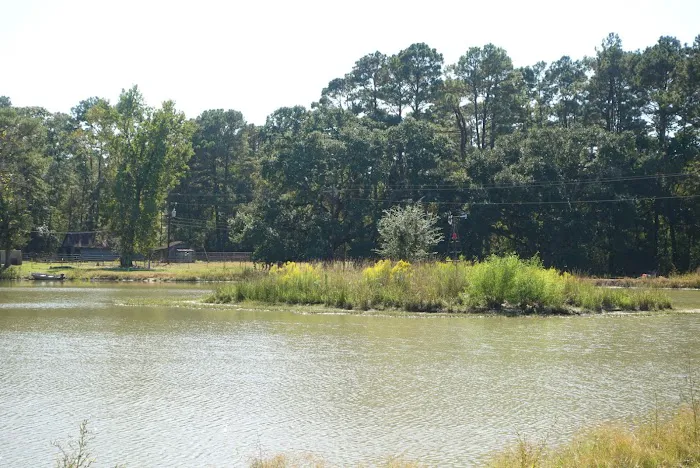 Cajun Campground Picture 7