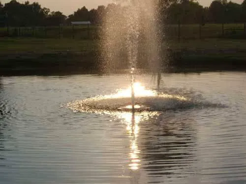 L'Acadie Inn & RV Park Picture 5