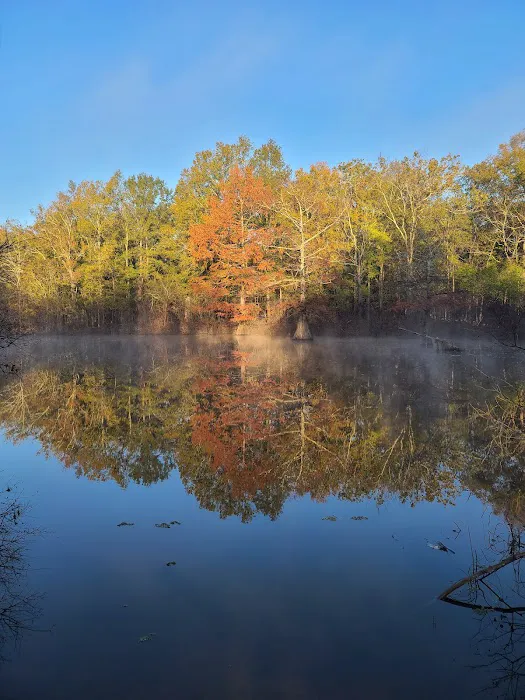 Muddy Bayou Campground Picture 3