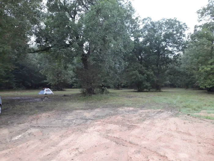 Willow Springs Campground Picture 6