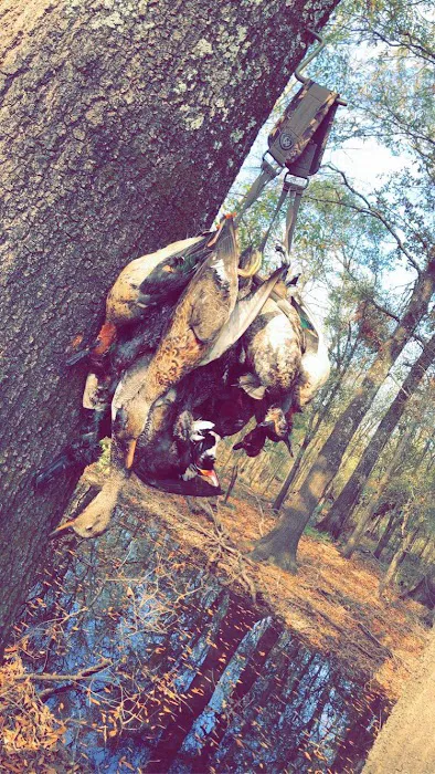 Russell's Campground Picture 3