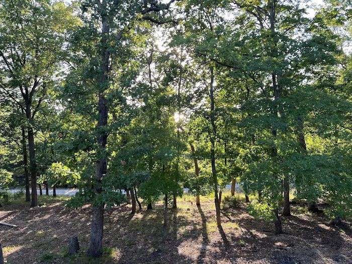 Seneca Campsite Picture 5