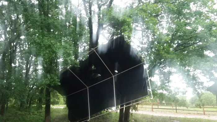 Seneca Campsite Picture 7