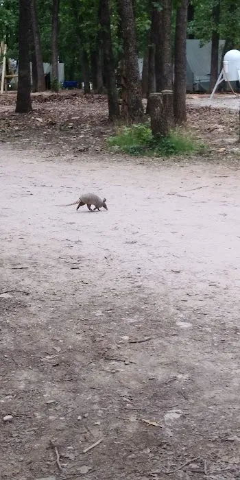 Mohican Campsite Picture 1