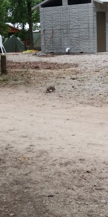 Mohican Campsite Picture 4