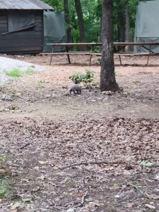 Mohican Campsite Picture 7