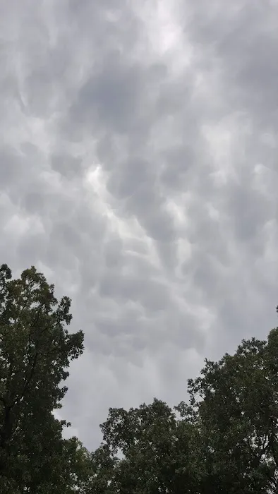 Ponca Campsite Picture 2