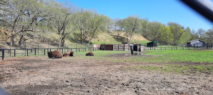 Ramsey Park Campground Picture 1