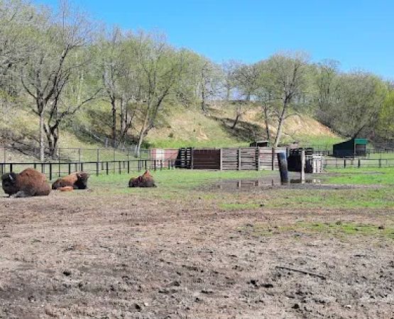 Ramsey Park Campground