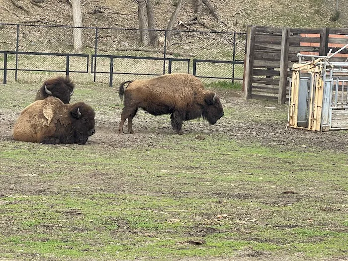 Ramsey Park Campground Picture 9