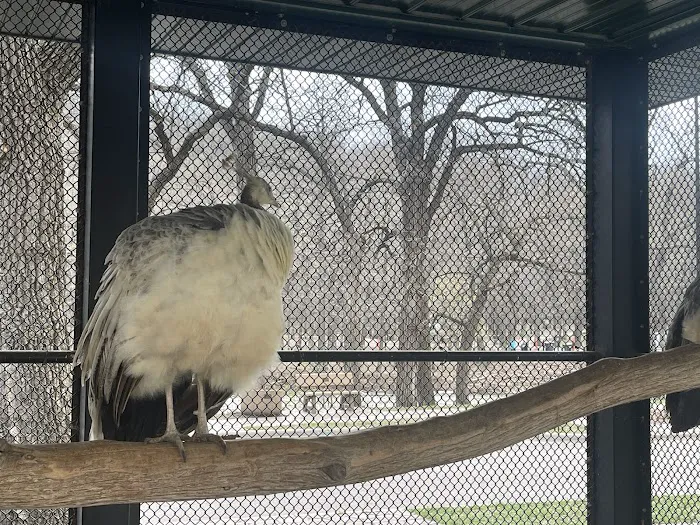 Ramsey Park Campground Picture 4