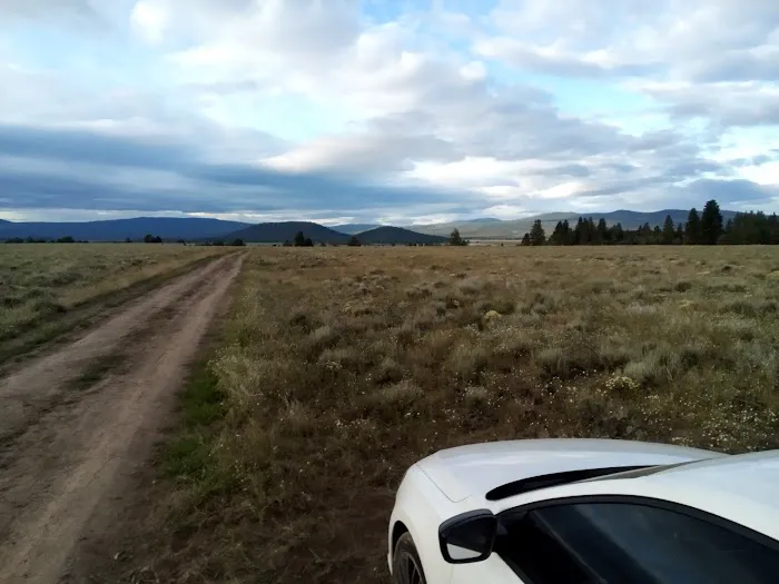 Golden Acred Ridge Estate Picture 5