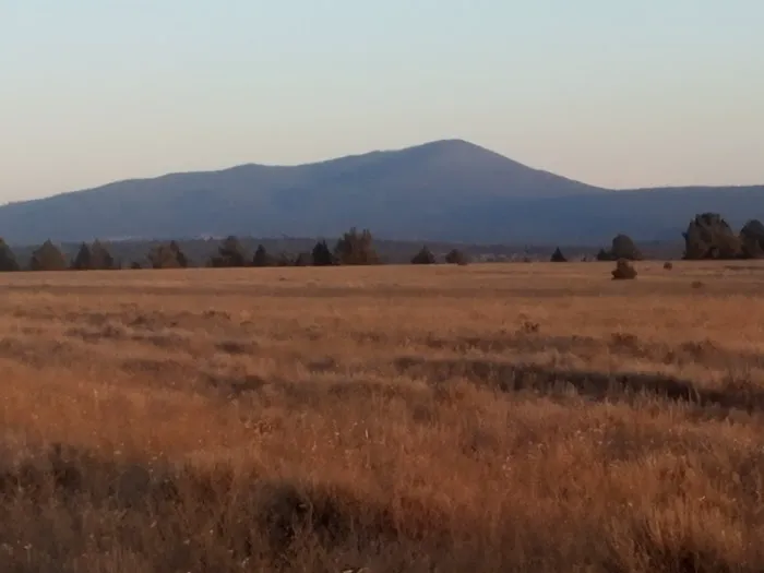 Golden Acred Ridge Estate Picture 9