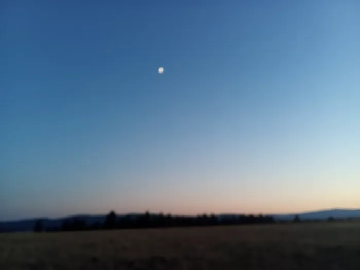 Golden Acred Ridge Estate Picture 8