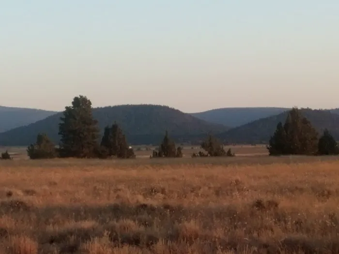 Golden Acred Ridge Estate Picture 6