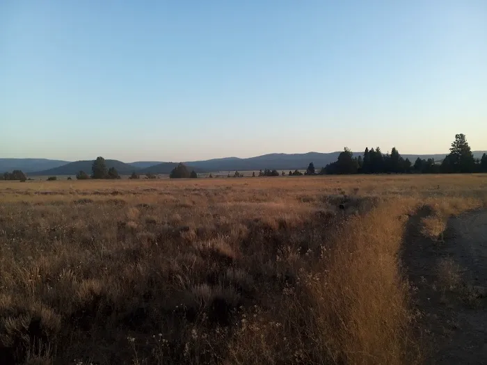 Golden Acred Ridge Estate Picture 7