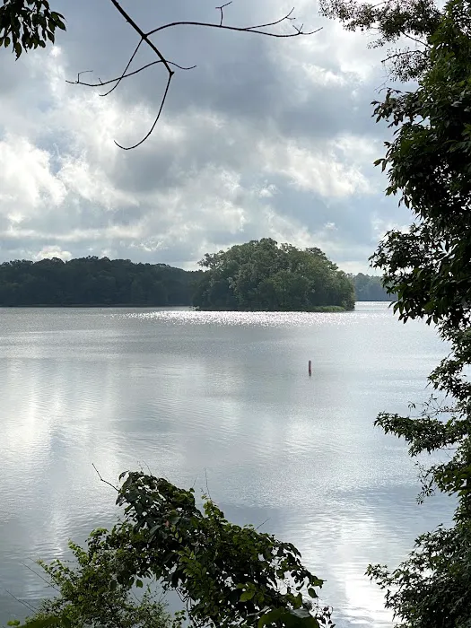 Chilatchee Creek Campground Picture 7