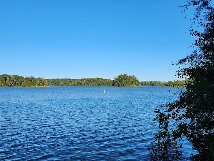 Chilatchee Creek Campground Picture 3