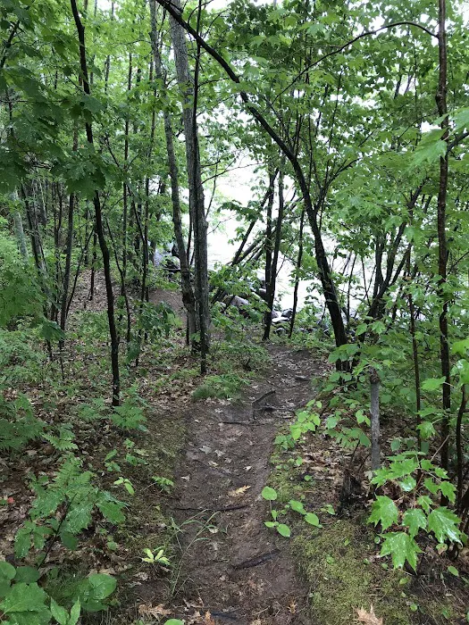 Dalrymple Park and Campground Picture 6