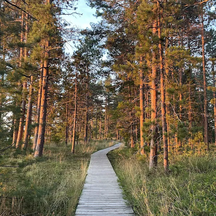 Big Bay Town Park Picture 10