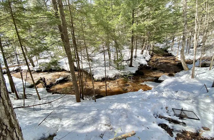 Sailor Springs Glamping Picture 4