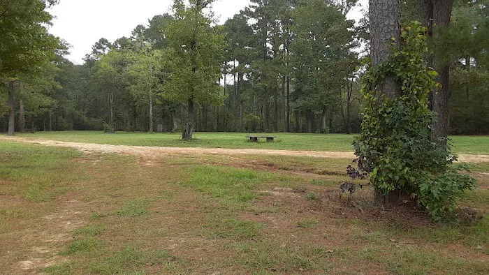 Yellow Dog Boat Launch Picture 4