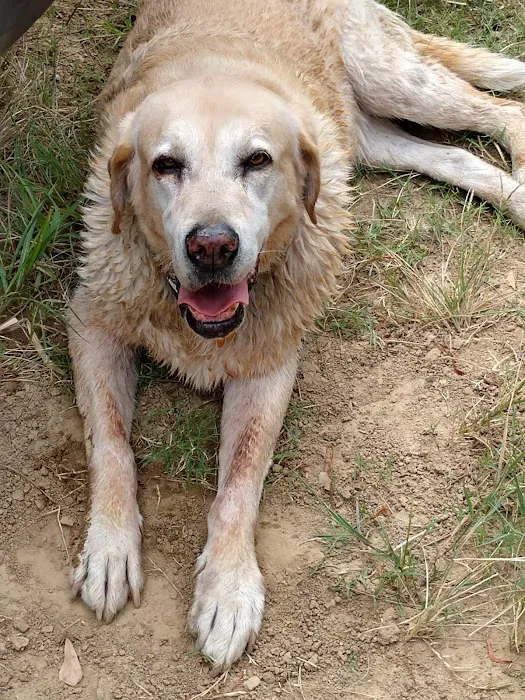 Yellow Dog Boat Launch Picture 7