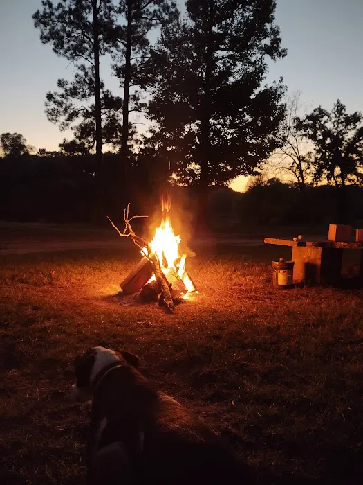 Yellow Dog Boat Launch Picture 6