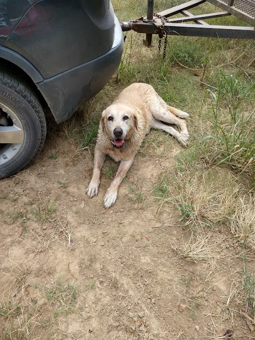 Yellow Dog Boat Launch Picture 5