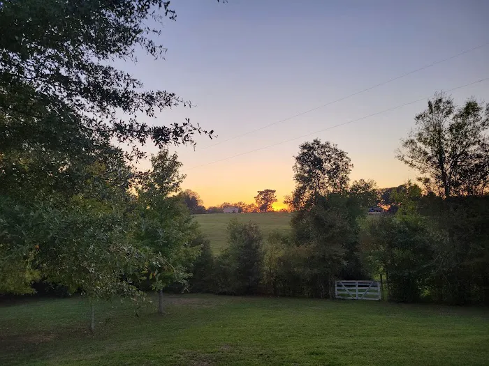 Bill's Landing Picture 2