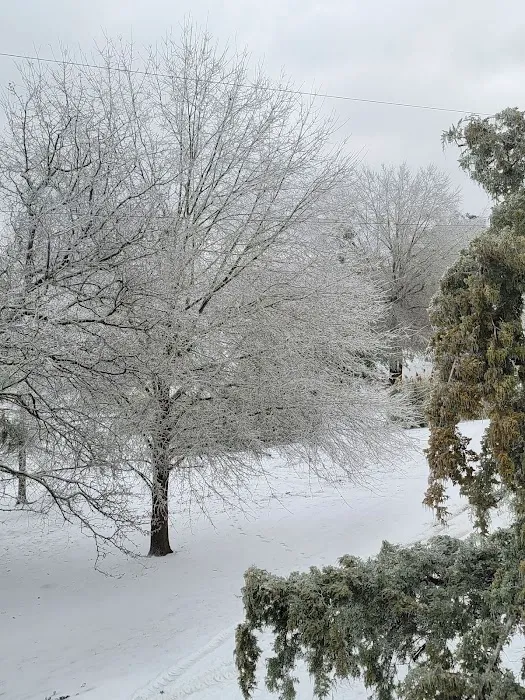 Bill's Landing Picture 1