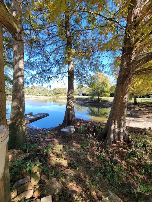 Bill's Landing Picture 4