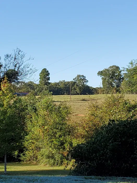 Bill's Landing Picture 10