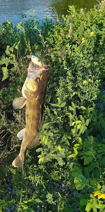 Olive Creek Dam-Site 2 Park Picture 2