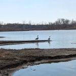 Olive Creek Dam-Site 2 Park