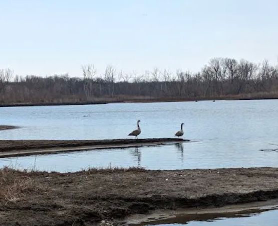 Olive Creek Dam-Site 2 Park