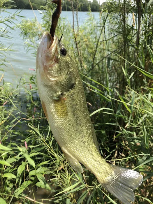 Olive Creek Dam-Site 2 Park Picture 10