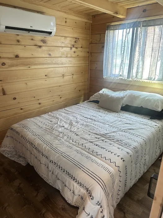 Lincoln West KOA Holiday Picture 7