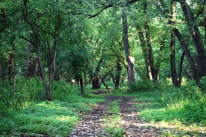 The Lazy H Campground Picture 8