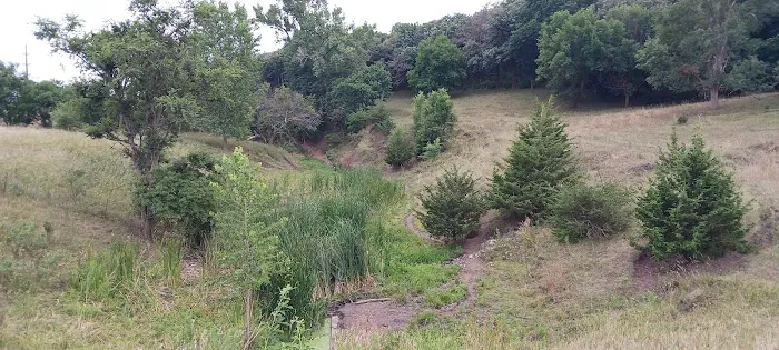 Beaver Creek Campground Picture 6