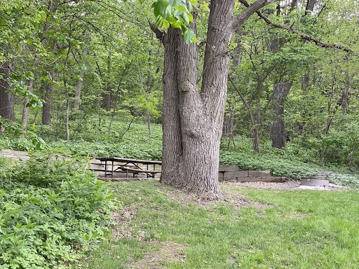 Beaver Creek Campground Picture 7