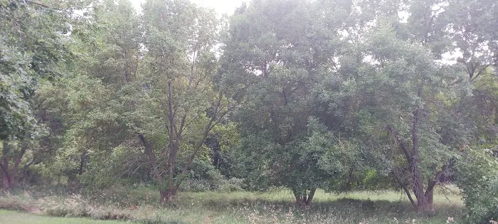 Beaver Creek Campground Picture 10