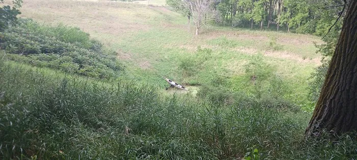 Beaver Creek Campground Picture 2