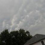 Newman Grove City Park