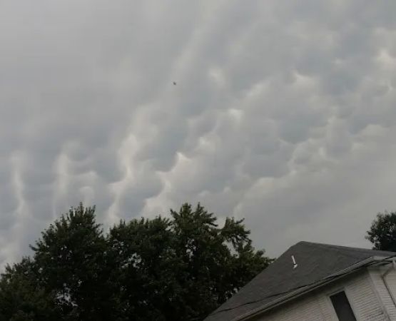 Newman Grove City Park