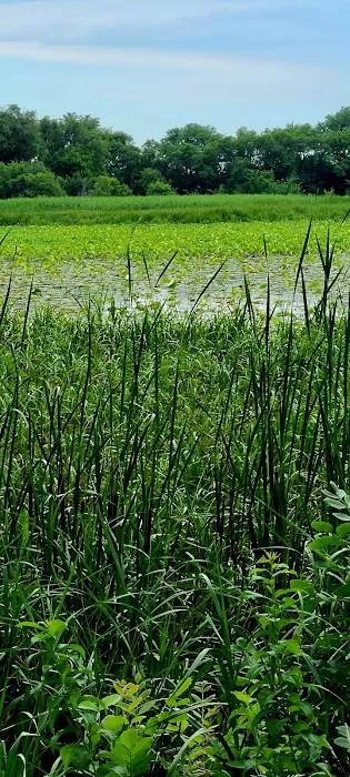 Loup Park Campground Picture 5