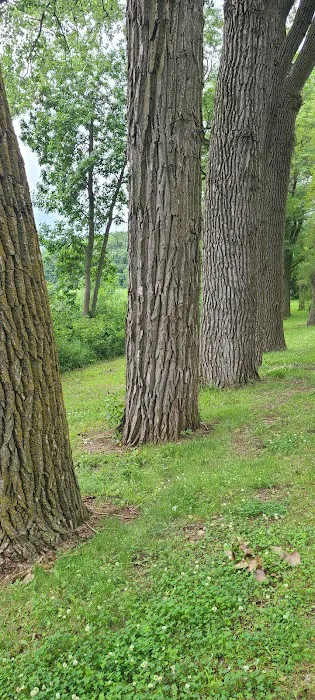 Loup Park Campground Picture 8