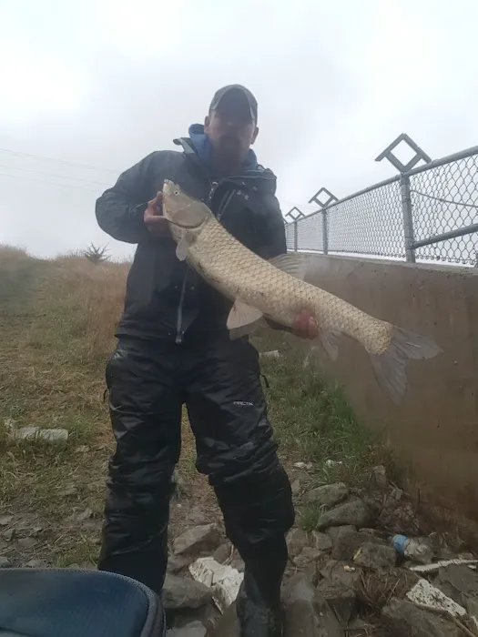 Powerhouse Park Campground Picture 10